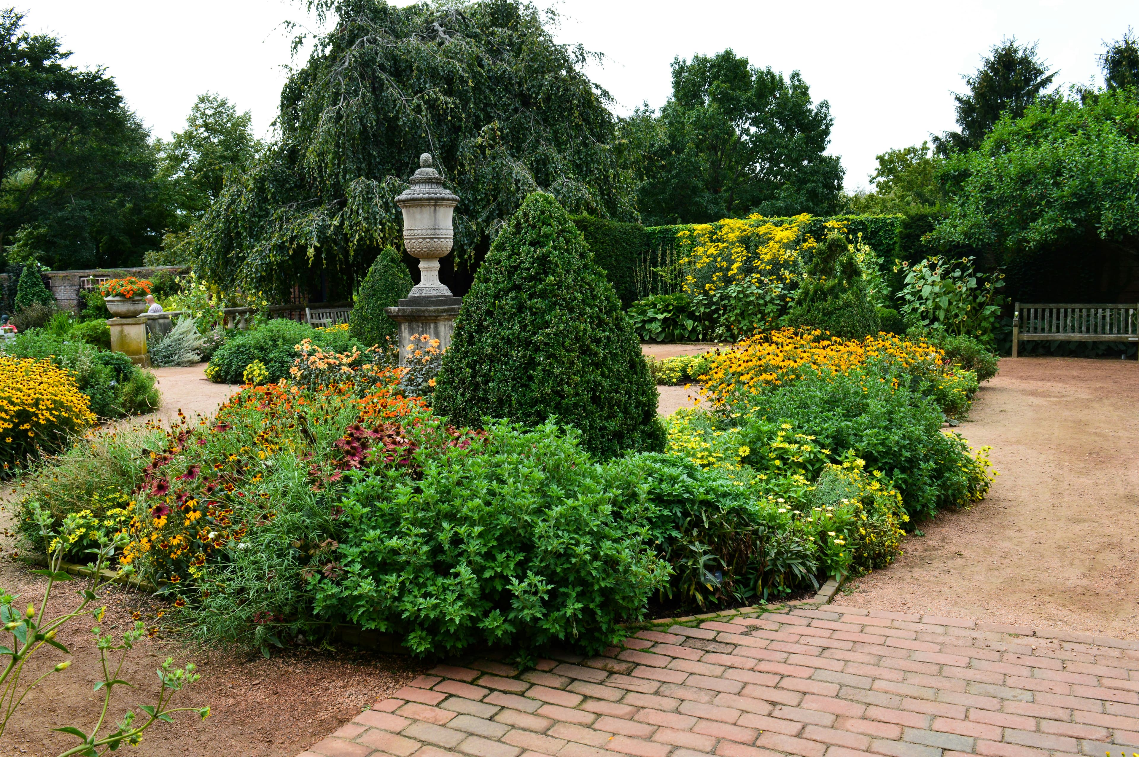 Hill Country landscape design